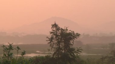 Tamil Nadu, Hindistan