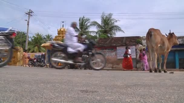Tamil Nadu, Hindistan — Stok video