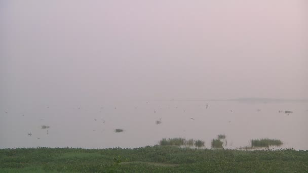 泰米尔纳德邦，印度 — 图库视频影像