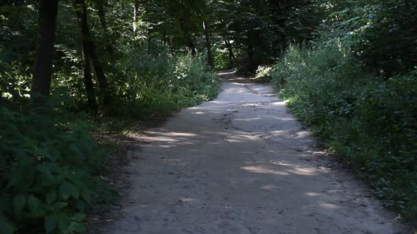 Молодий чоловік їде на велосипеді в лісі — стокове відео