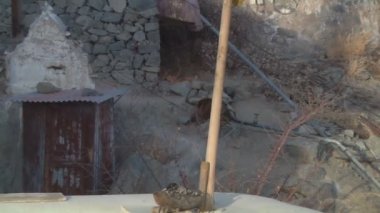 Spituk Manastırı
