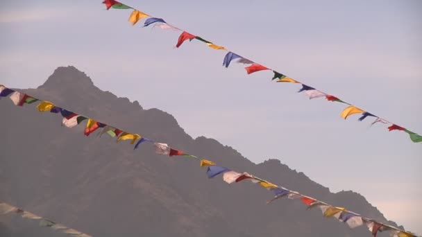 Prayer Flags — Stock Video