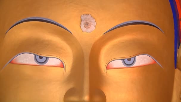 Maitreya Boeddha standbeeld — Stockvideo