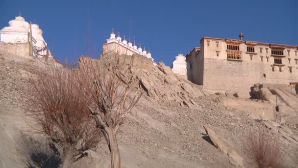 Buddhist Monastery — Stock Video