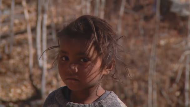 Portret dziecka indyjski — Wideo stockowe