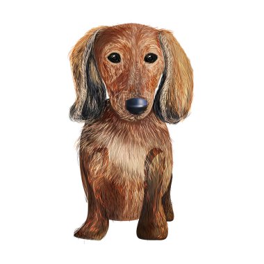 Palto çizen bir köpek.