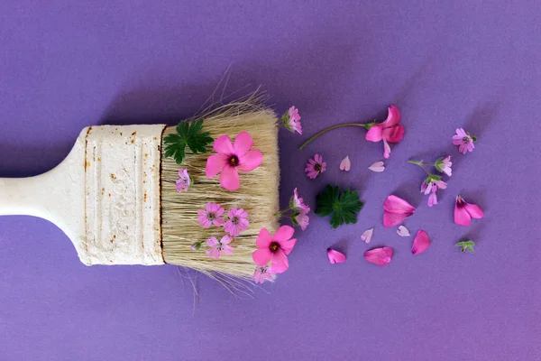Кисть Сліди Квітів Фіолетовому Фоні — стокове фото