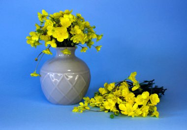 Mavi arka planda vazoda sarı kır çiçekleri