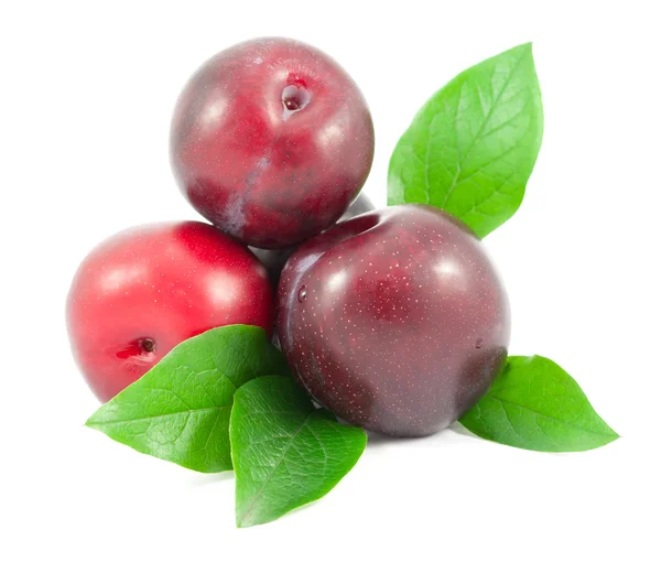 Beyaz arka plan üzerinde izole yaprakları ile kırmızı Erik