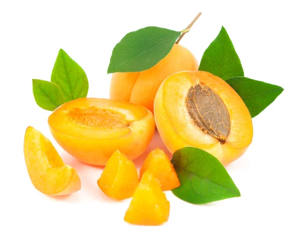 Beyaz arka plan üzerinde yaprakları ile kayısı kesmek