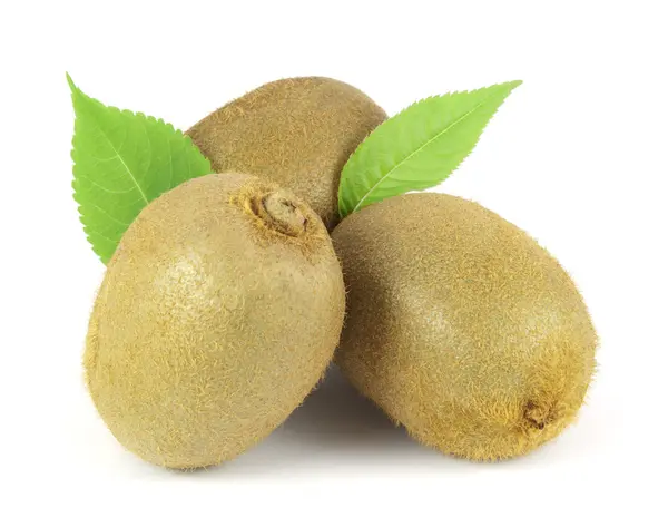 Üç tüm kivi meyve ile izole üzerinde beyaz arka plan yapraklar