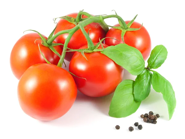 Demet fesleğen yaprakları ve beyaz arka plan üzerinde siyah biber ile olgun domates