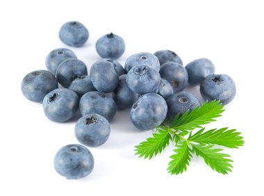 beyaz zemin üzerinde yaprakları ile yaban mersini