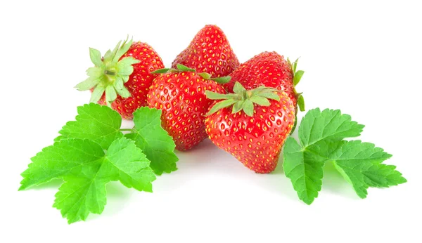 Fragole con foglie su sfondo bianco — Foto Stock