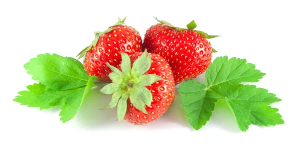 Fragole con foglie su sfondo bianco — Foto Stock