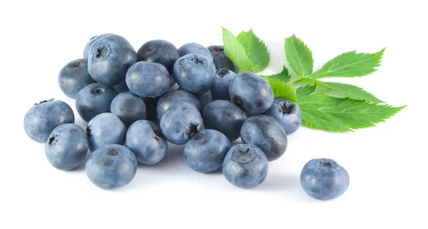 beyaz zemin üzerinde yaprakları ile yaban mersini