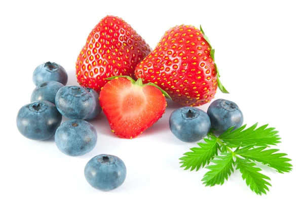 Yaban mersini ve çilek beyaz arka plan üzerinde yaprakları ile