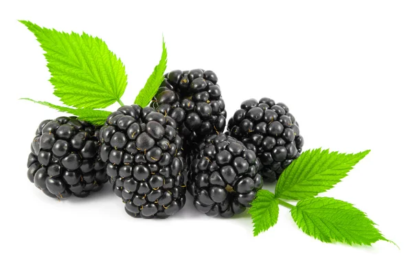 böğürtlen yaprakları ile