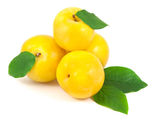 yaprakları ile sarı Erik