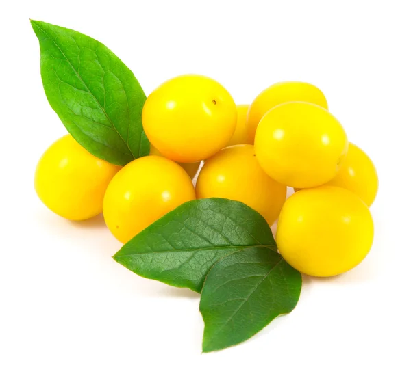 Sarı kiraz Erik yaprakları ile