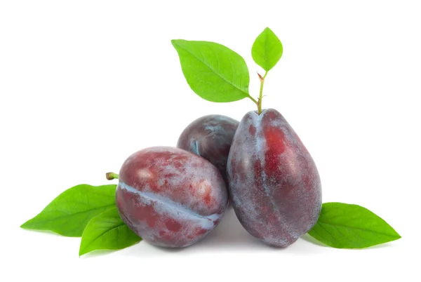 Beyaz arkaplanda yaprakları olan erikler