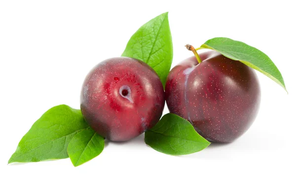 Beyaz arka plan üzerinde yaprakları ile kırmızı Erik