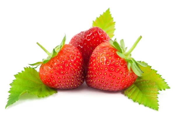 Fragole con foglie isolate su fondo bianco — Foto Stock