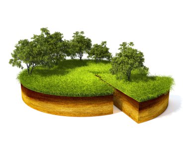 cross section of ground with grass