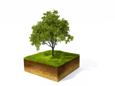 cross section of ground with grass