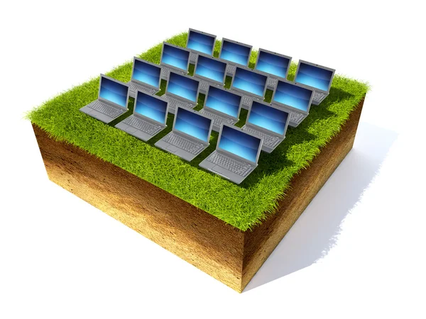 Cross section of ground with grass — Stock Photo, Image
