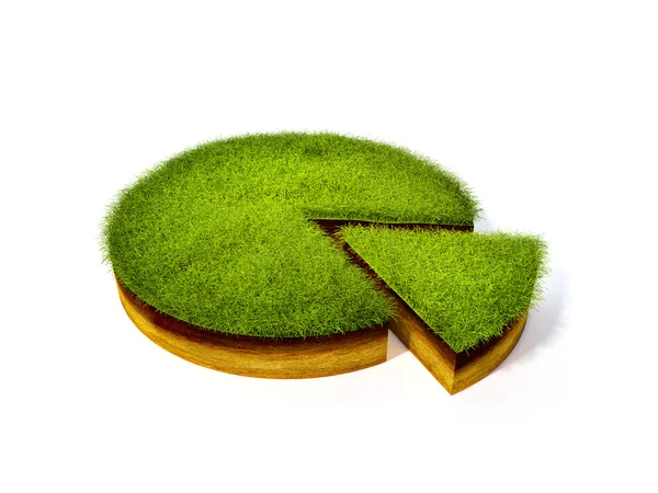 Cross section of ground with grass — Stock Fotó