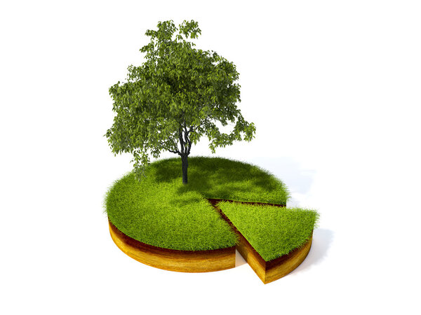 поперечное сечение земли с травой
