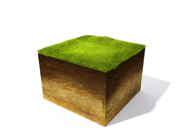 Cross section of ground with grass — Stockfoto