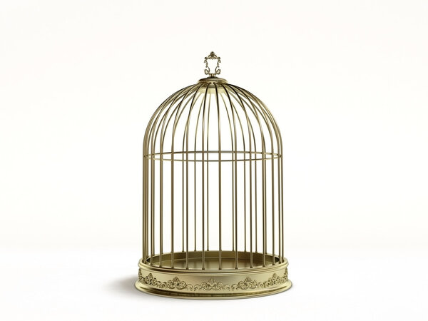 Golden birdcage