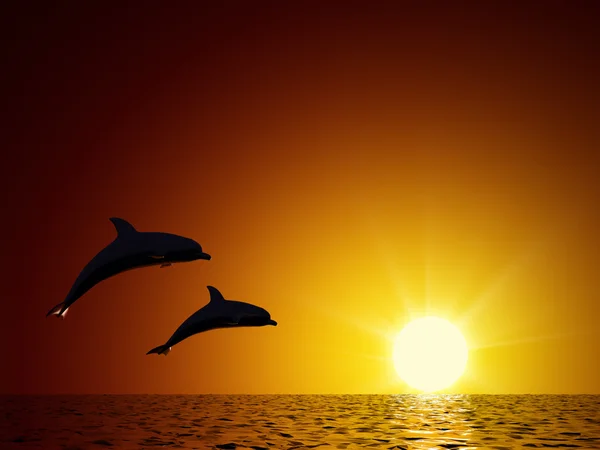 Twee dolfijnen zwemmen in de oceaan — Stockfoto