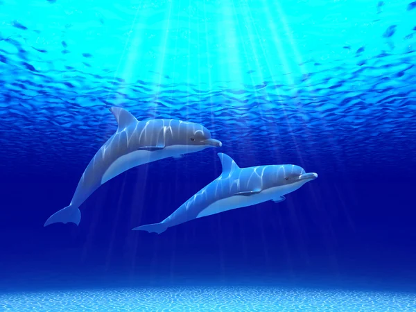 दो डॉल्फिन समुद्र में तैर रहे हैं — स्टॉक फ़ोटो, इमेज