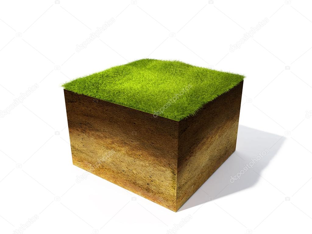 cross section of ground with grass