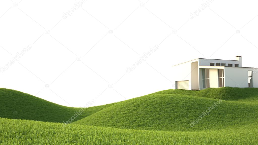 green grass field 