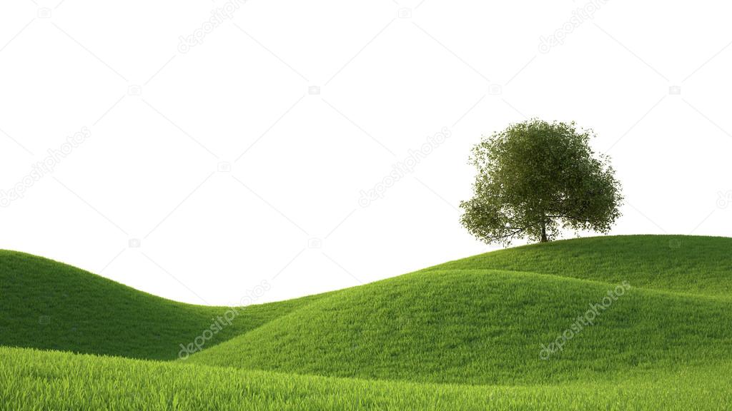 green grass field 