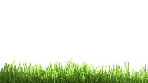 Fresh spring green grass — Stock Photo, Image