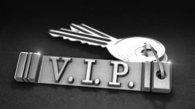 VIP kavramı