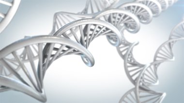 DNA molekülleri