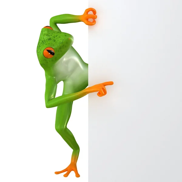 Tropical business frog — Stock Photo, Image