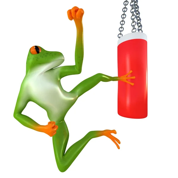 Tropical sport frog — Stock Photo, Image