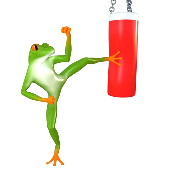 Tropical sport frog — Stock Photo, Image