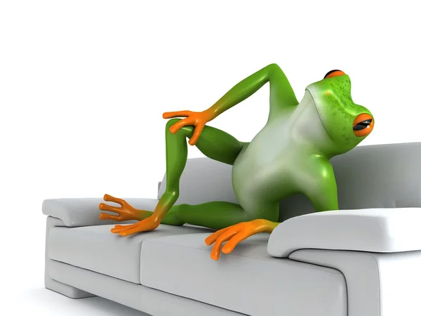 Tropical  posing frog — Stock Photo, Image