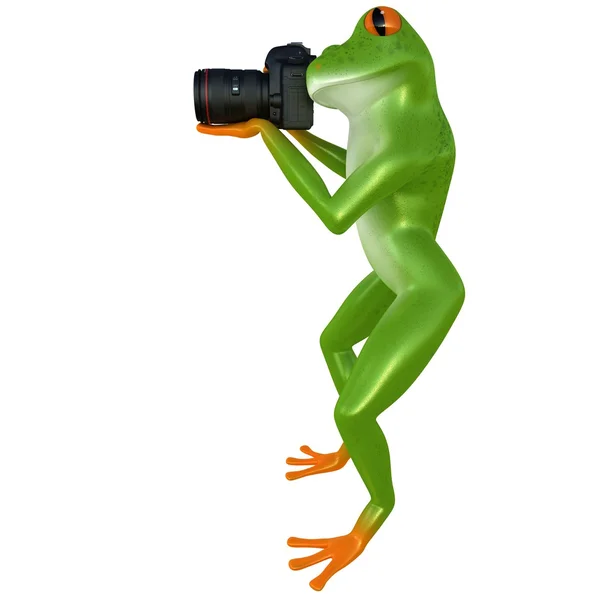 Pršet žáby fotografie — Stock fotografie