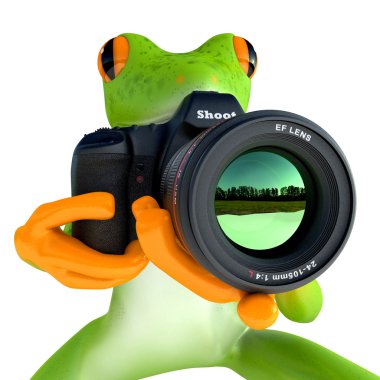 Yağmur kurbağa fotoğraf