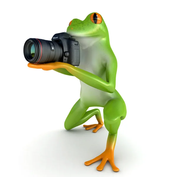 Pršet žáby fotografie — Stock fotografie