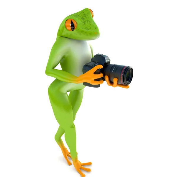 Tropical  frog photographs — Stock Photo, Image